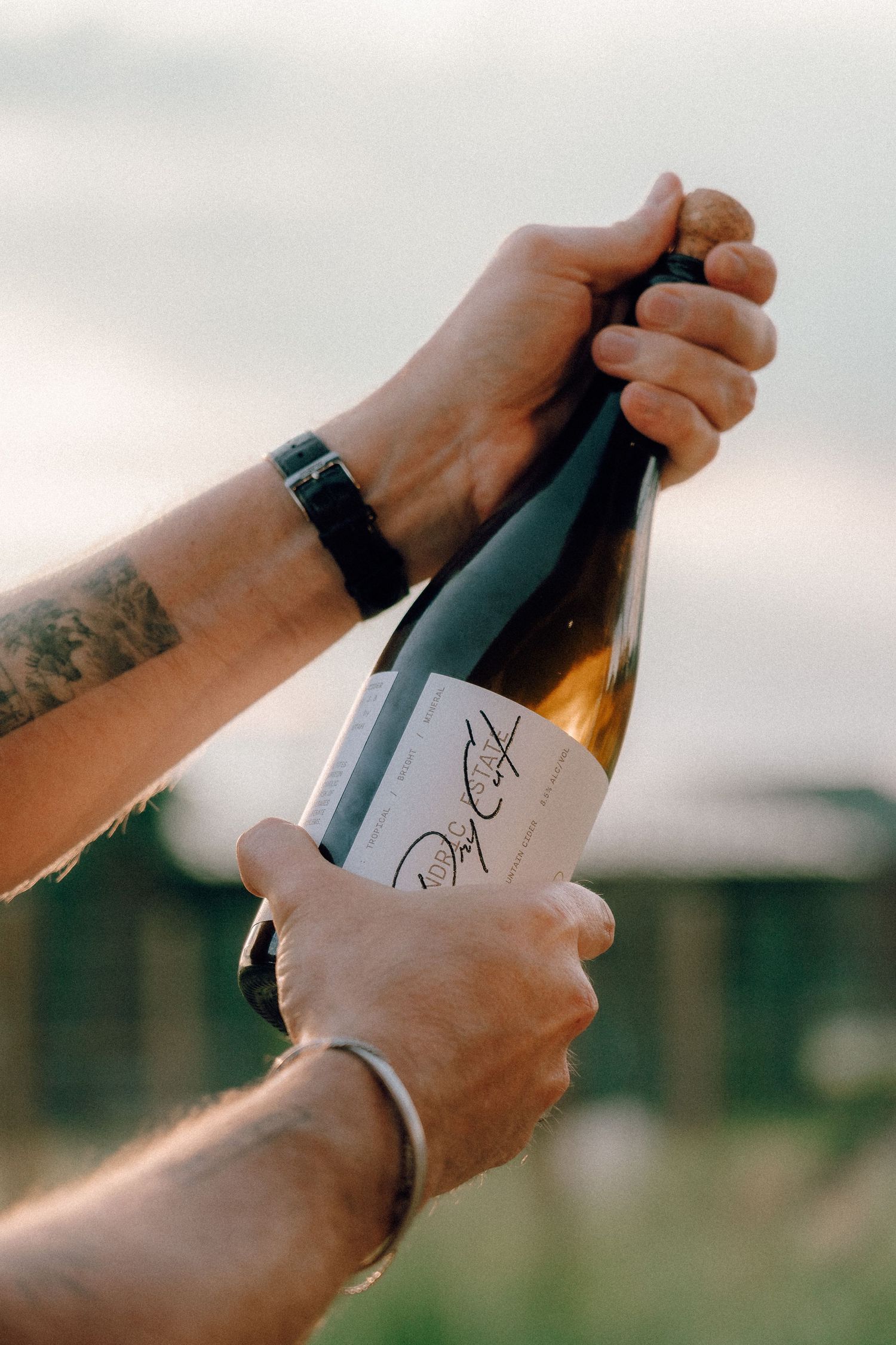 Hands holding wine bottles against soft natural lighting, showcasing simple monochrome labels.