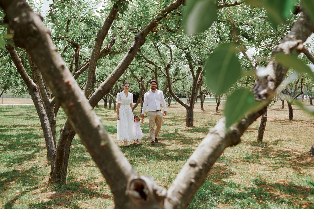 Family walking through a lush green orchard on a sunny day.