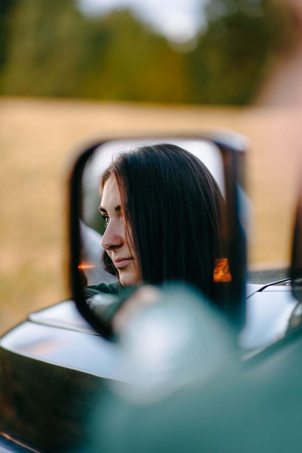 Side mirror reflections show a passenger with dark hair in a car as the view changes across multiple frames.