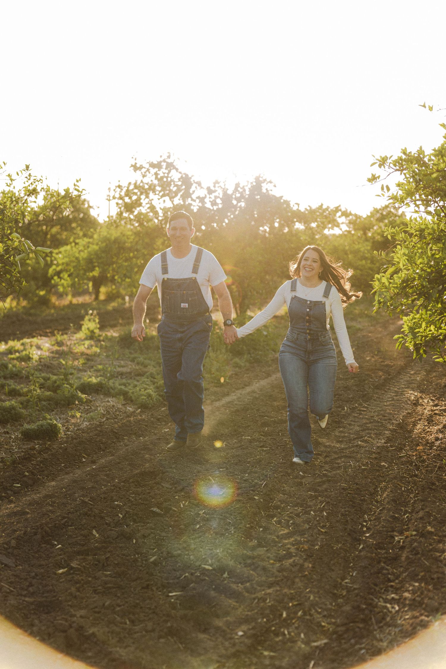 People walking through an orchard at sunset with golden light filtering through the trees.