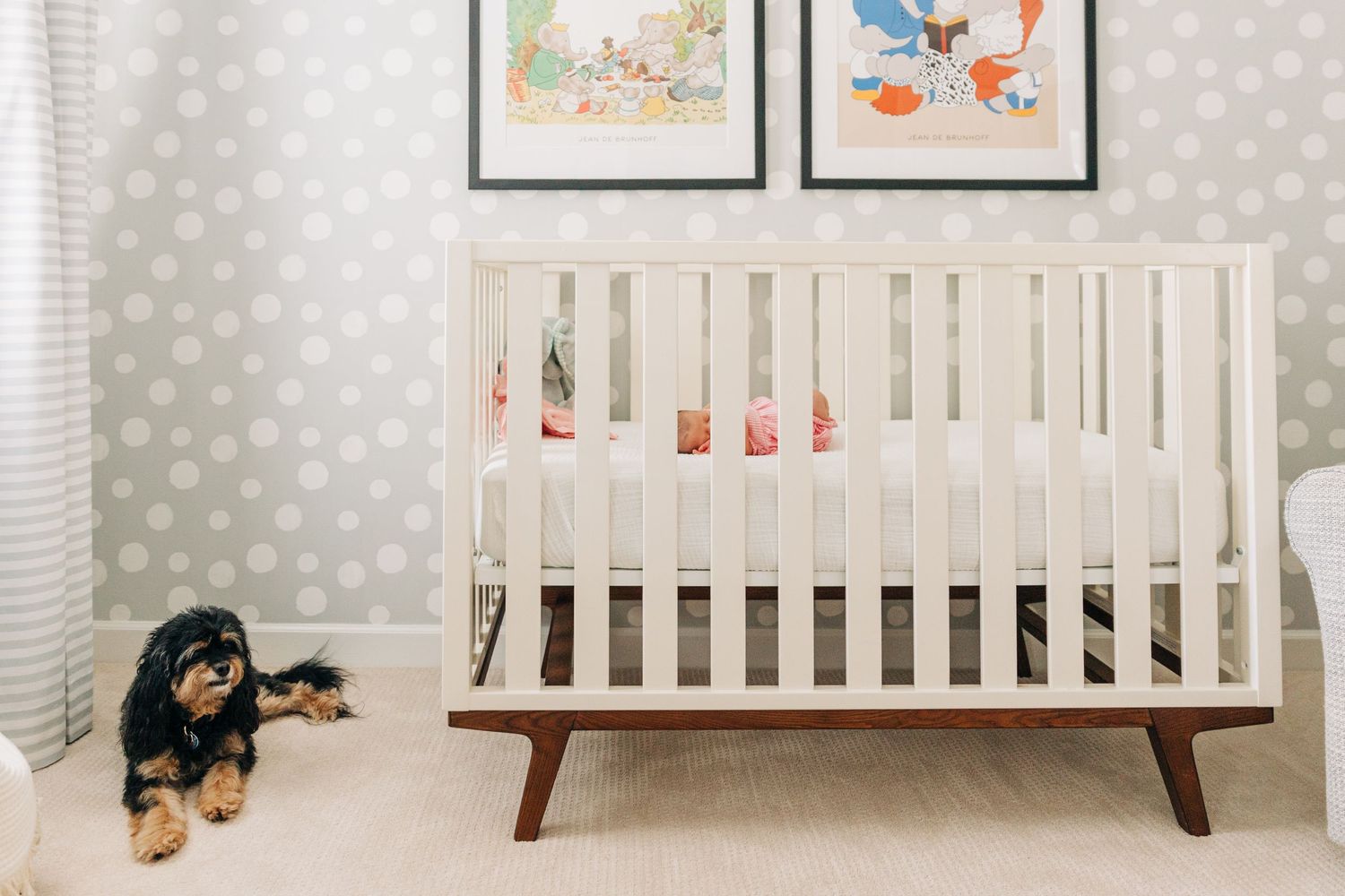Modern nursery with white crib, polka dot wallpaper, framed artwork, and a dog on the floor.