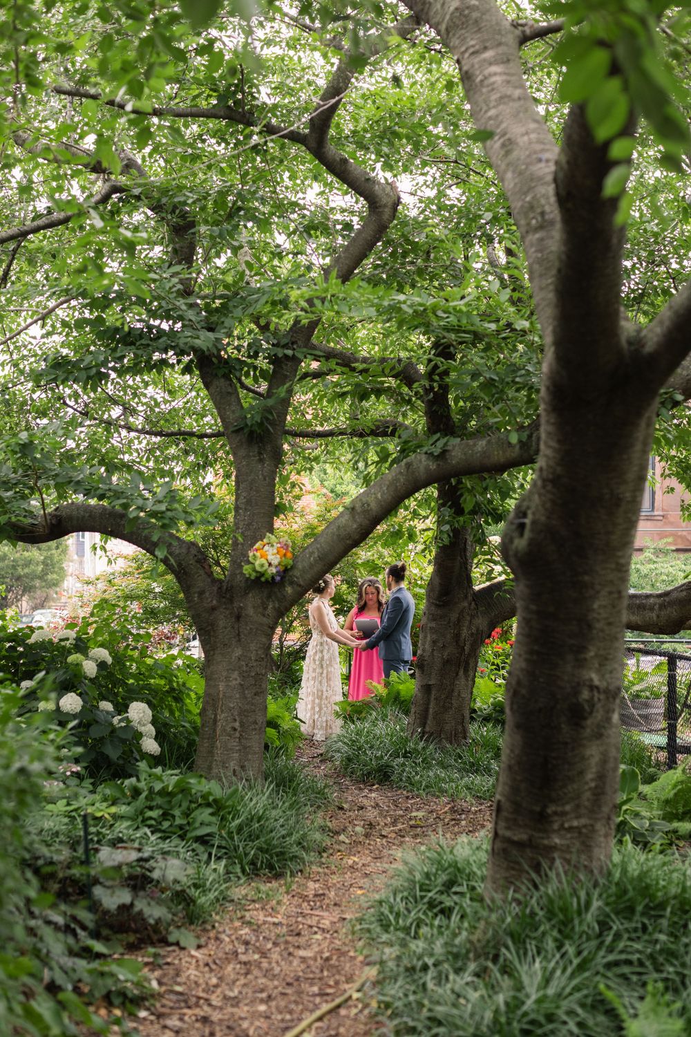 Tree-lined path with dappled sunlight filtering through leafy canopy at Eastern State Penitentiary.