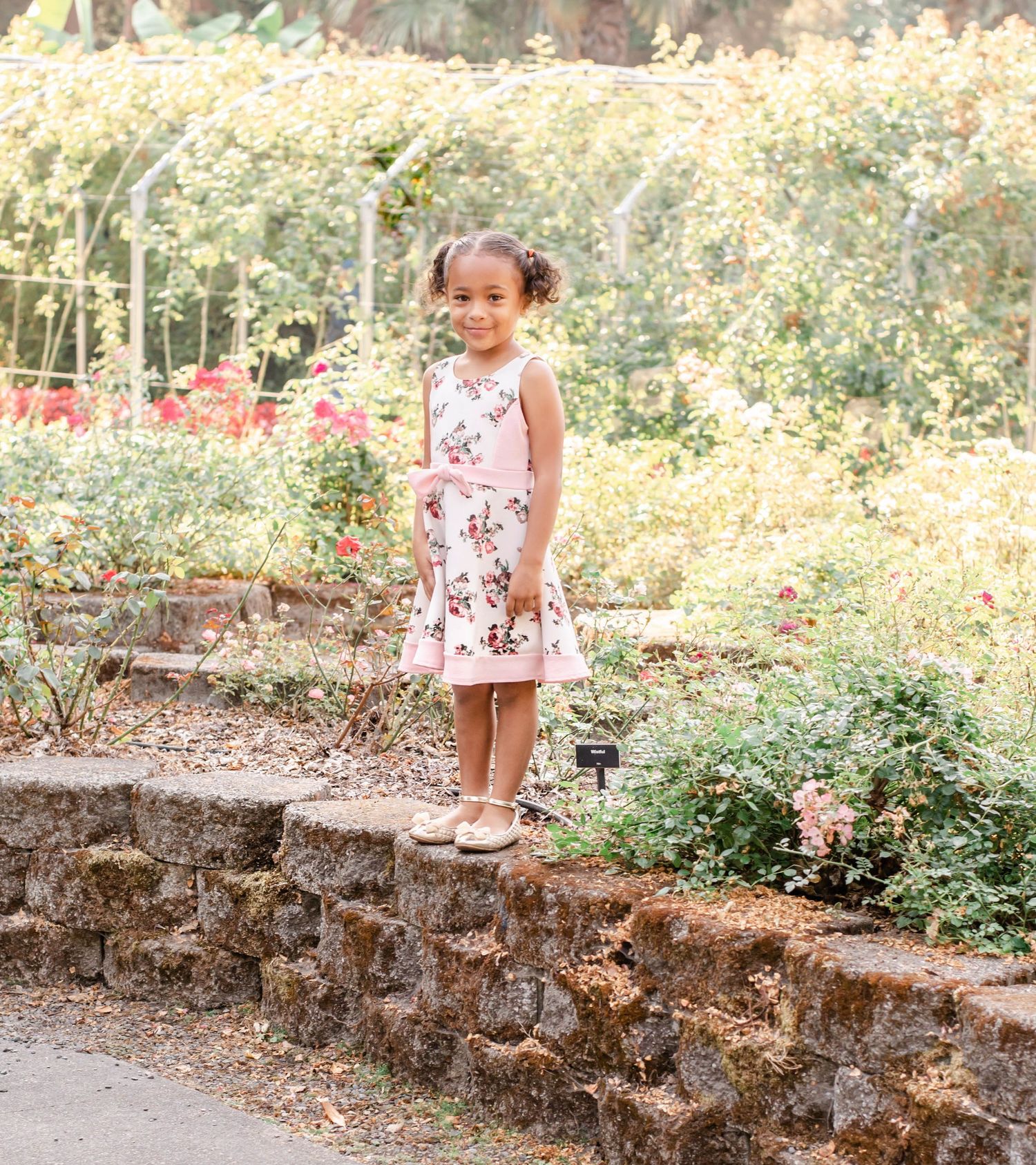 Young child walking along a stone wall in a garden filled with flowers.