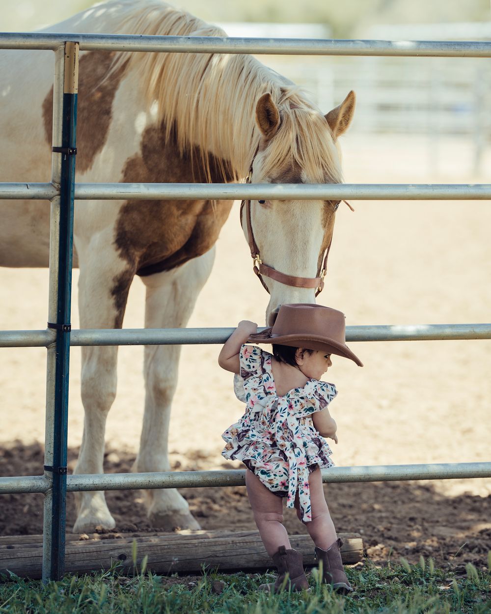 A horse watches a small cowgirl pose for her birthday photos.