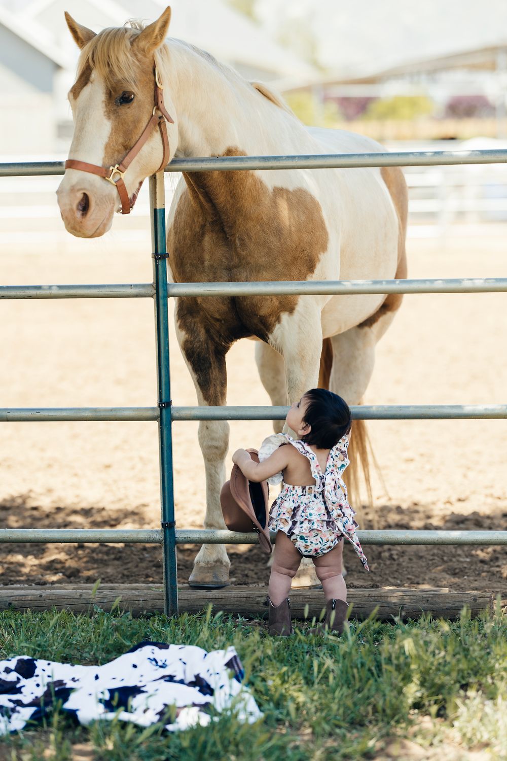 A light brown horse peers over a metal fence at a floral outfit below.
