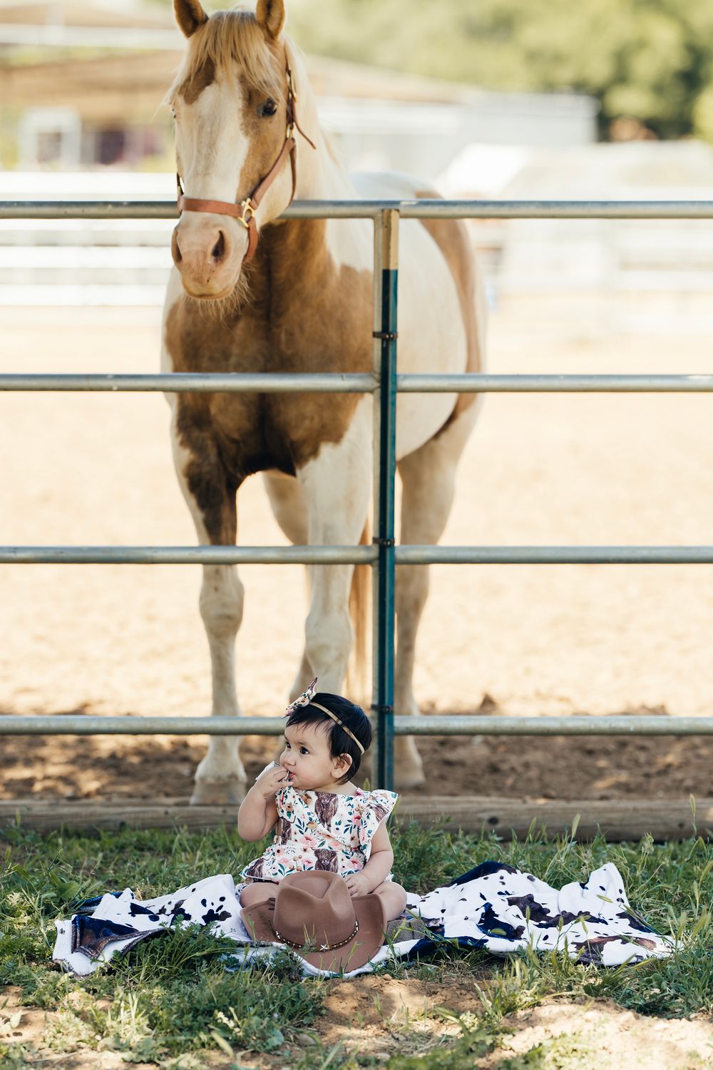 A gentle horse observes a small western outfit arranged on grass near metal fencing.