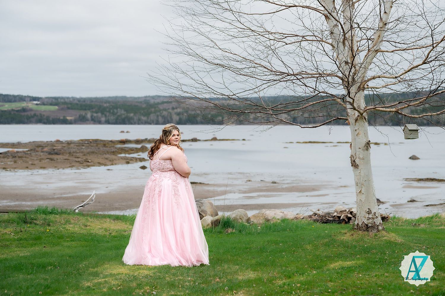 Pink ballgown dress against a scenic coastal backdrop with bare tree and water view at low tide.