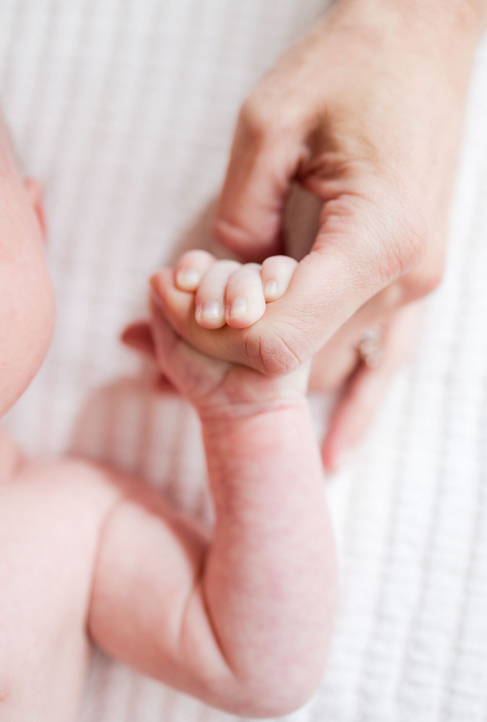 A baby's tiny hand grasps an adult's finger against a soft white background in a tender moment.