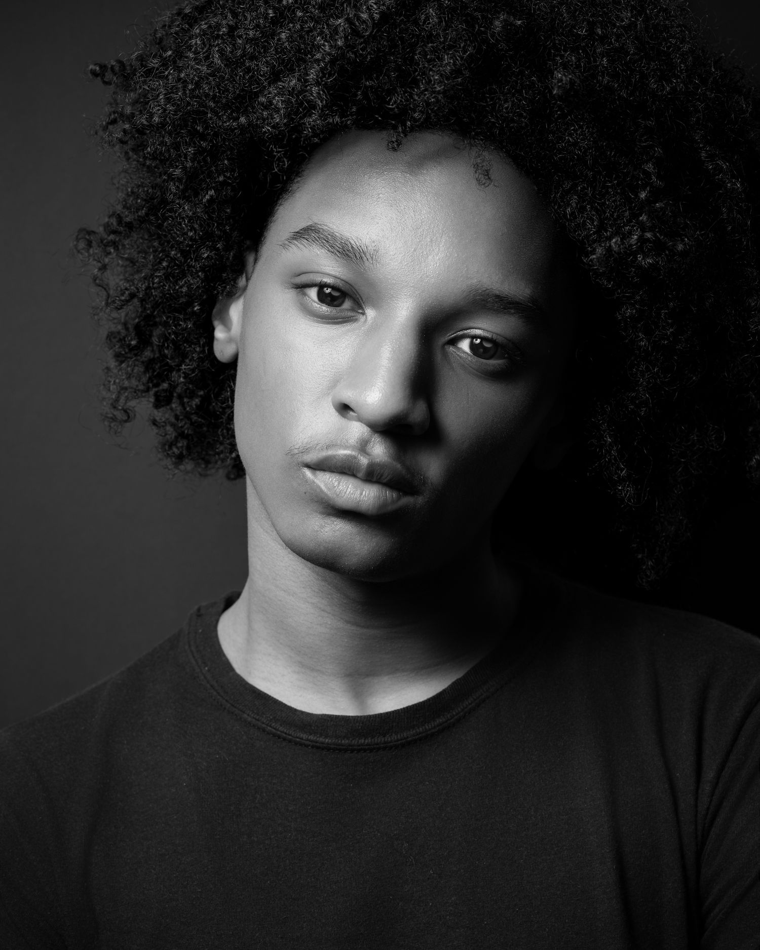 Black and white artistic portrait of a model with natural curly afro hair wearing a dark t-shirt against dark background.