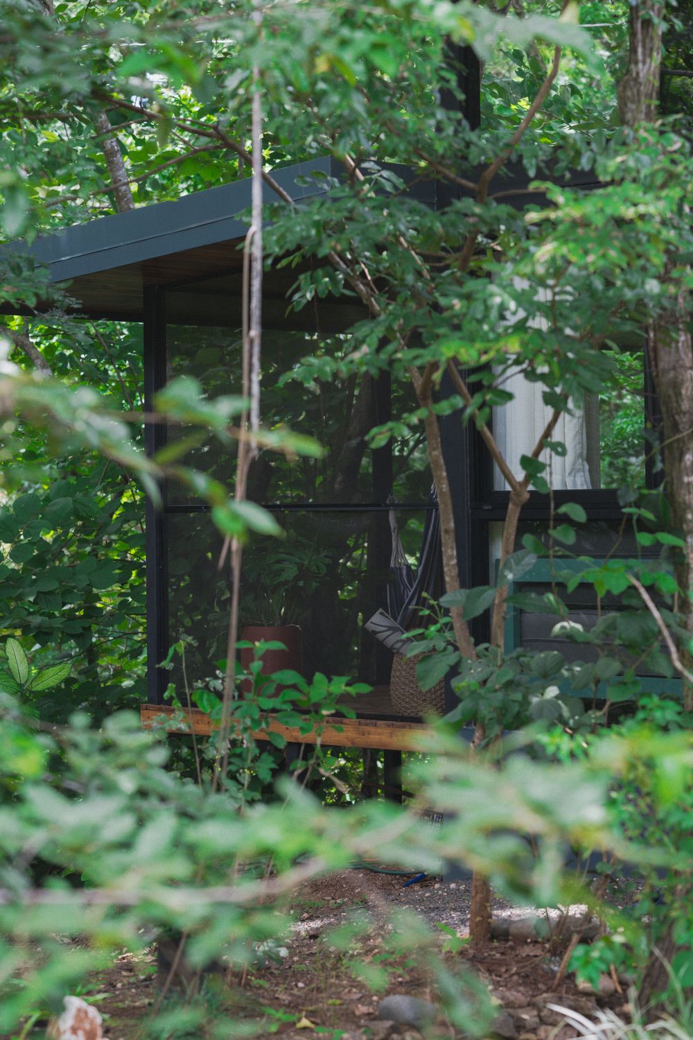 Modern cabin structure nestled among green forest foliage.