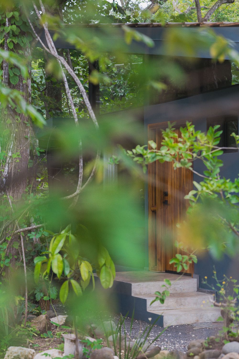 Stone steps leading to wooden door of forest cabin through dense foliage.