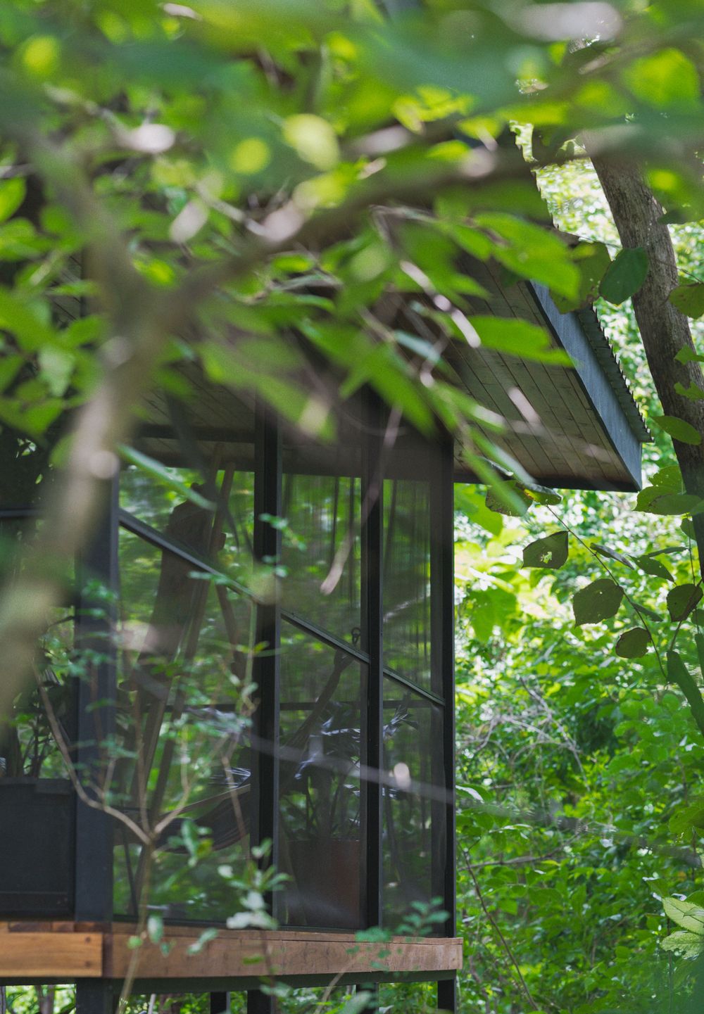 Modern cabin window reflecting forest greenery with dark trim details.