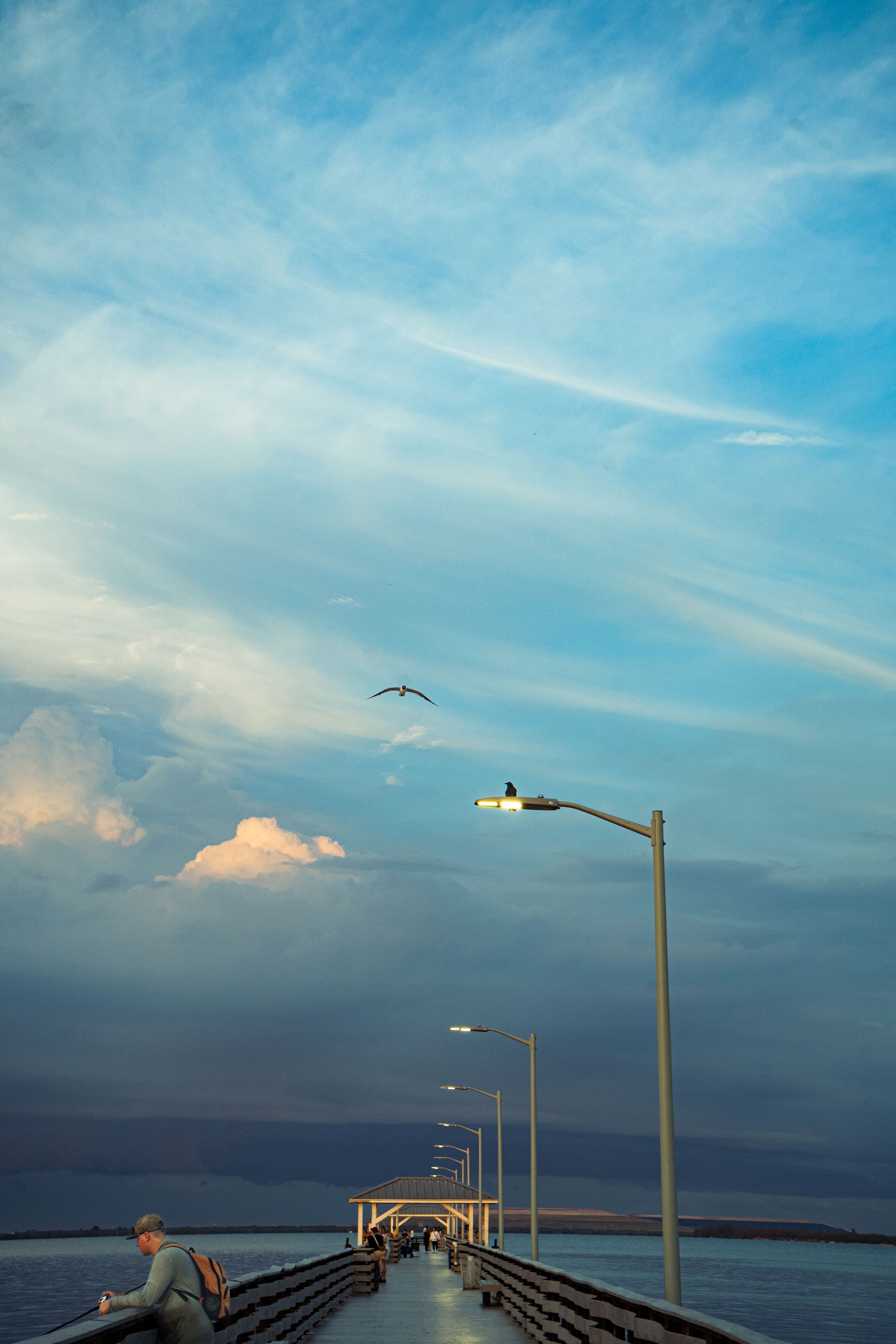 A serene pier stretches into calm waters under a dramatic blue sky with seagulls flying overhead.