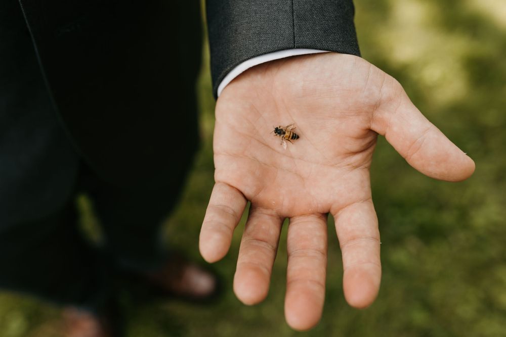 Close-up of a hand holding a small bee during an outdoor wedding celebration.