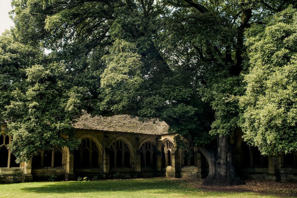 Ancient stone cloister with arched walkway surrounded by lush green trees.