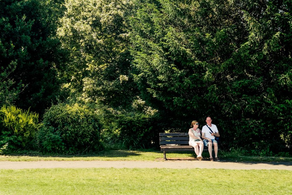 Two figures relaxing on a sunny park bench surrounded by green lawn and trees.