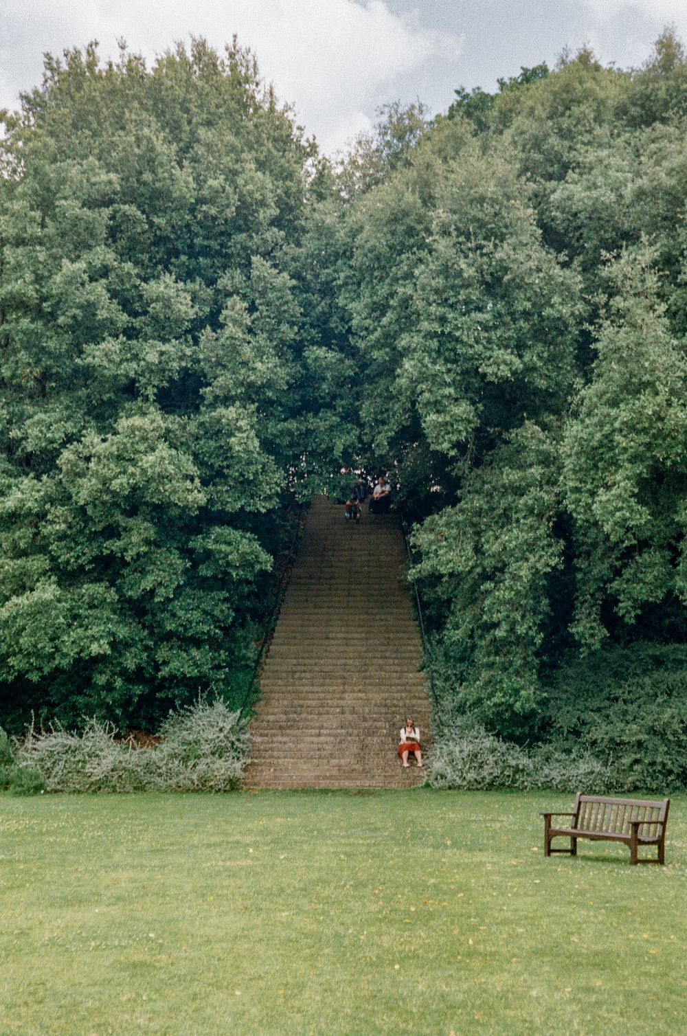 Stone steps leading up a steep hill surrounded by dense green trees, with a bench in the foreground.