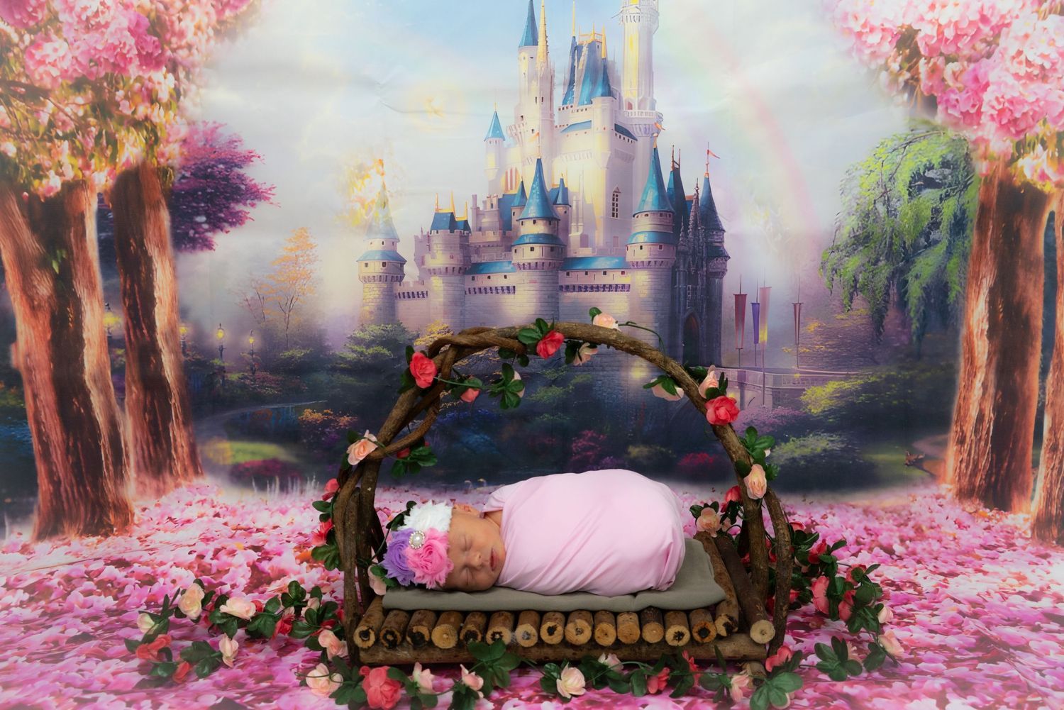 Princess, Disney, Castle