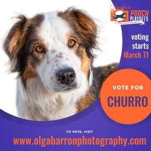 Vote for Churro promo poster