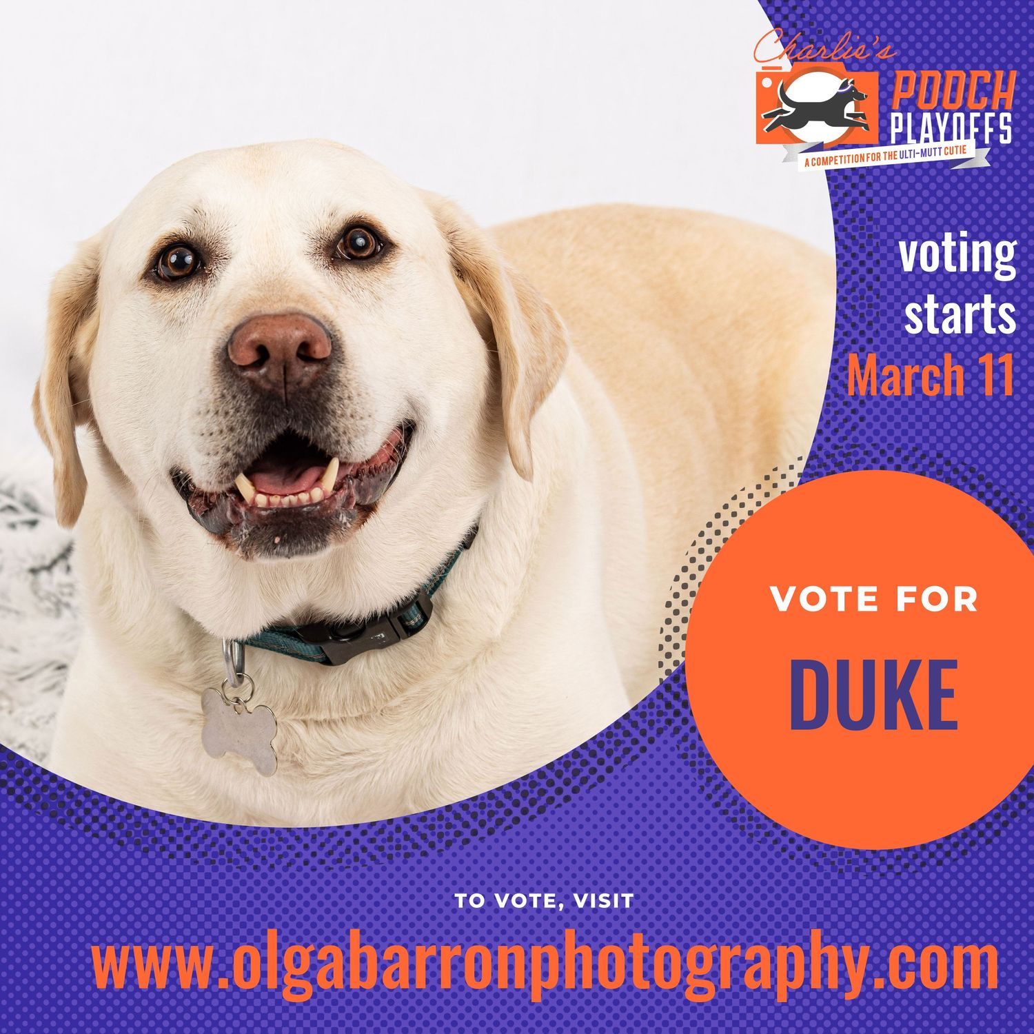 Vote for Duke promo poster