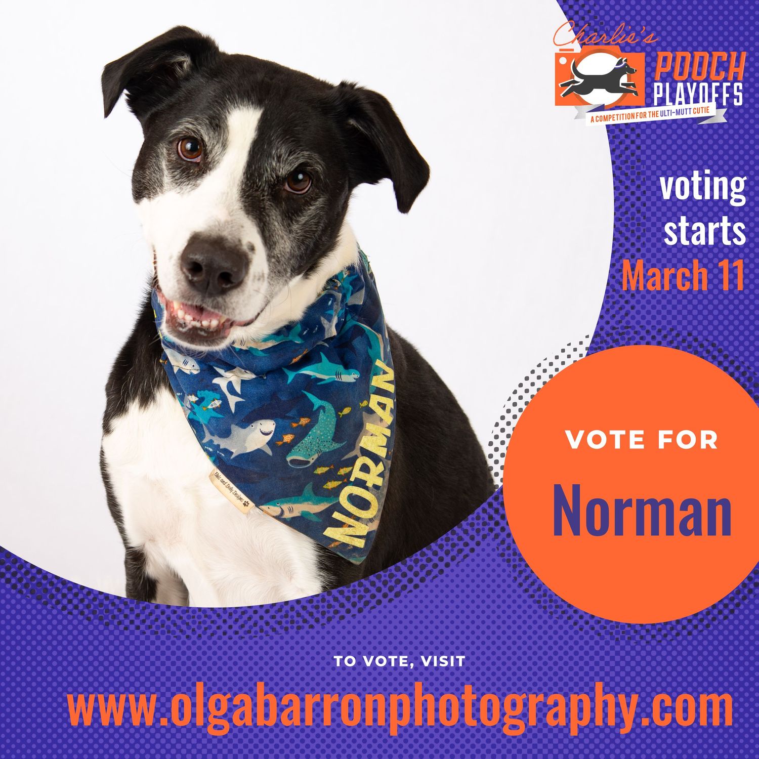 Vote for Norman promo poster