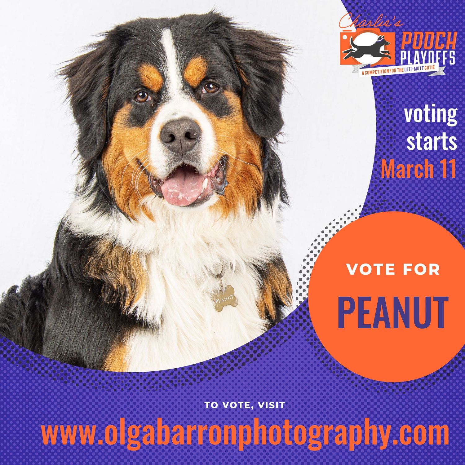 Vote for Peanut promo poster