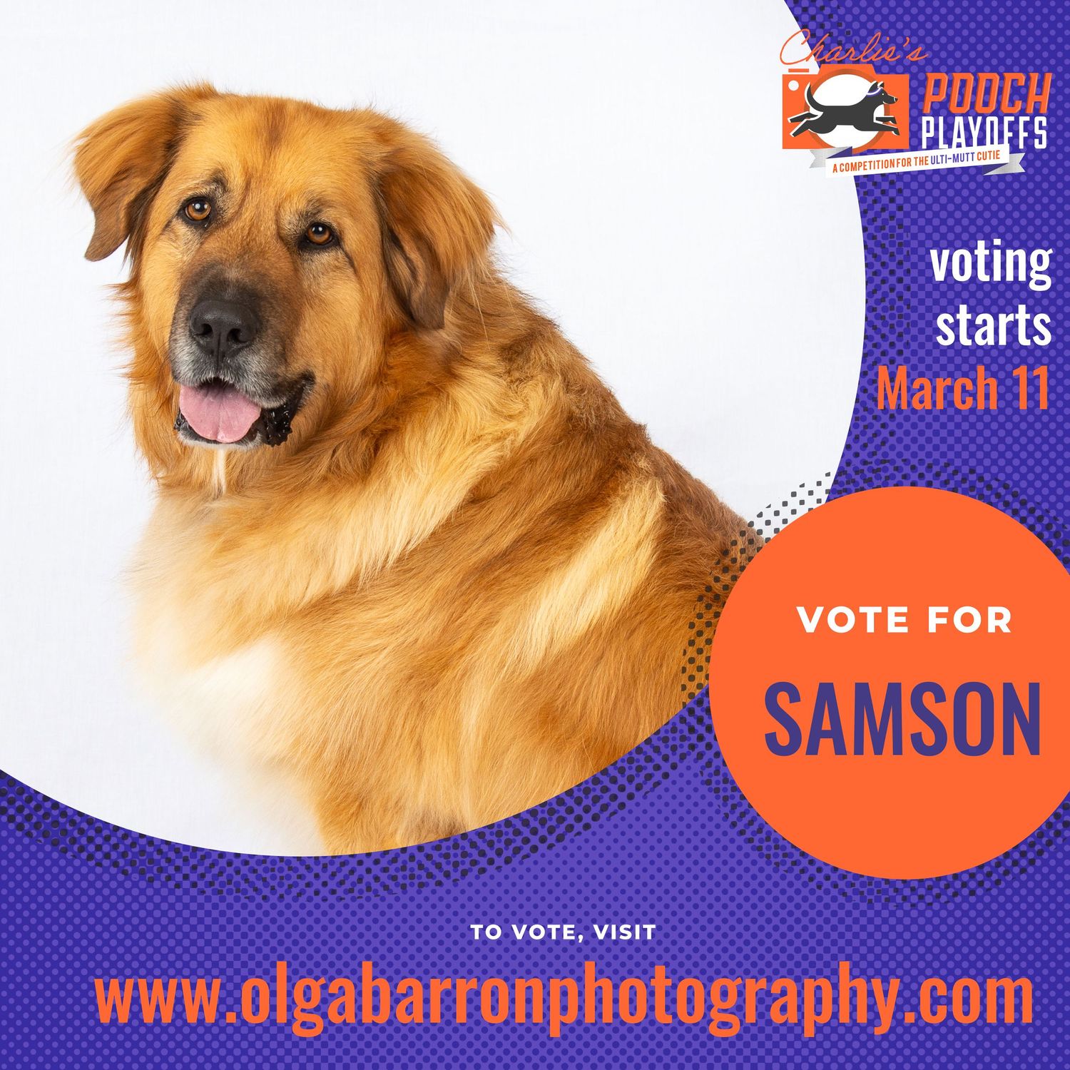 Vote for Samson Promo Poster