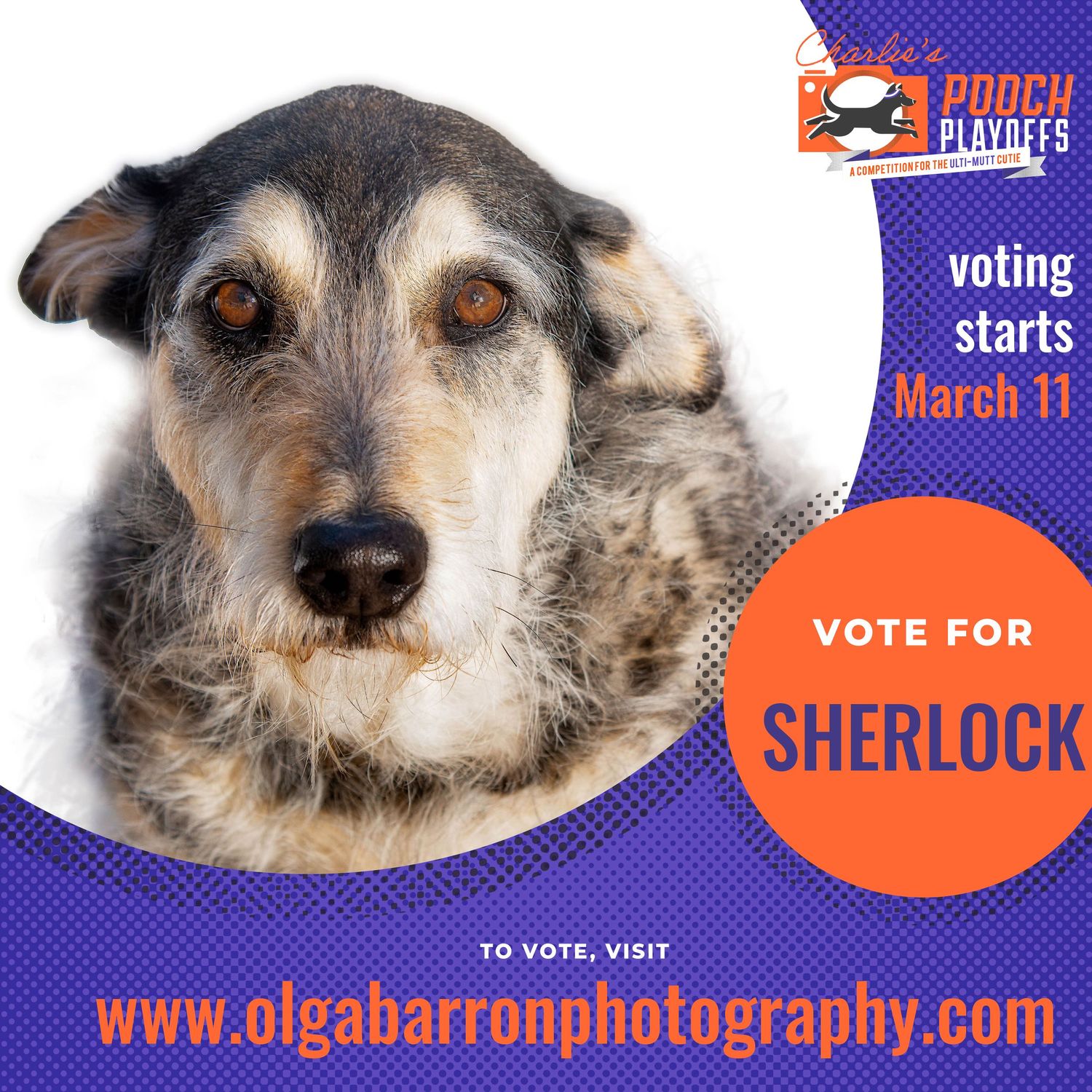 Vote for Sherlock promo poster