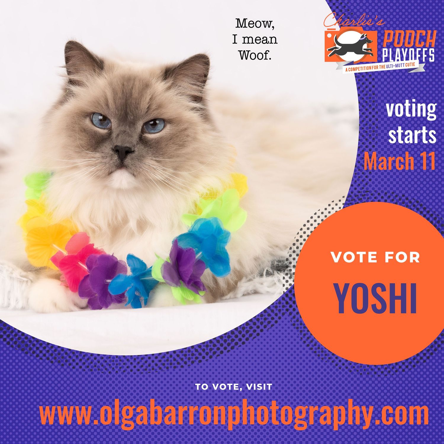 Vote for Yoshi promo poster