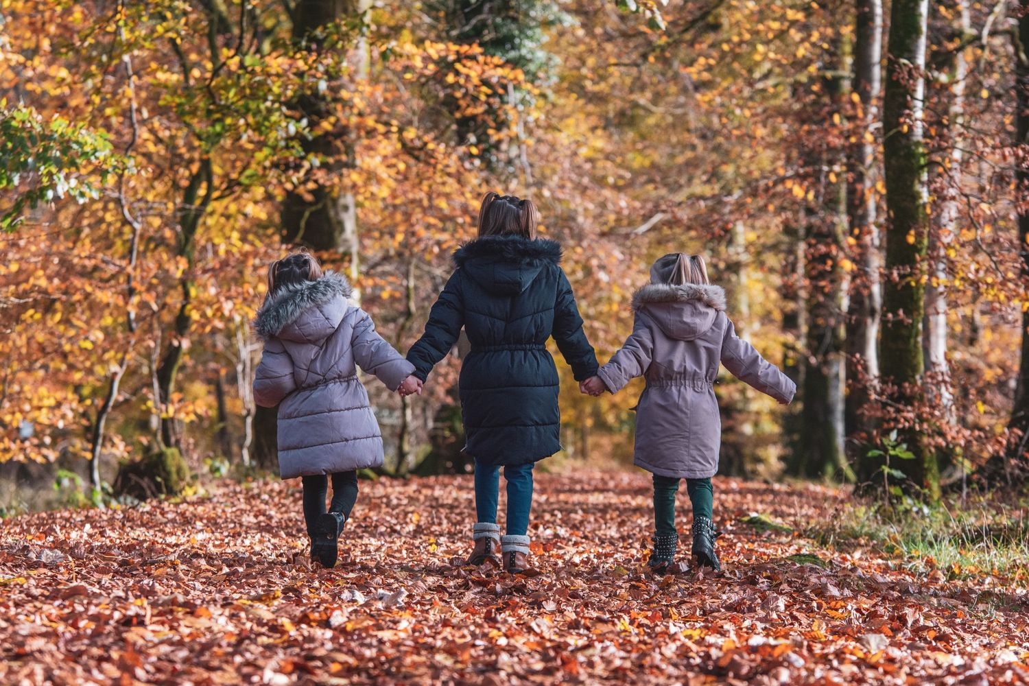 Families and Couples portfolio, Emma Laws Photography