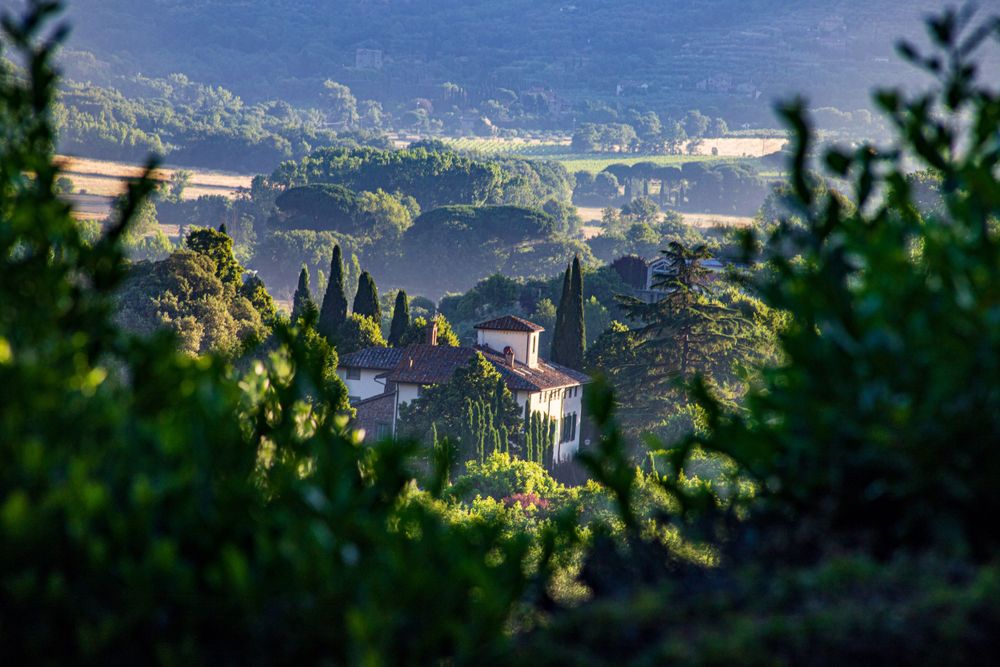 Scenic view of a small village church nestled among trees in a mountainous Tuscan landscape.
