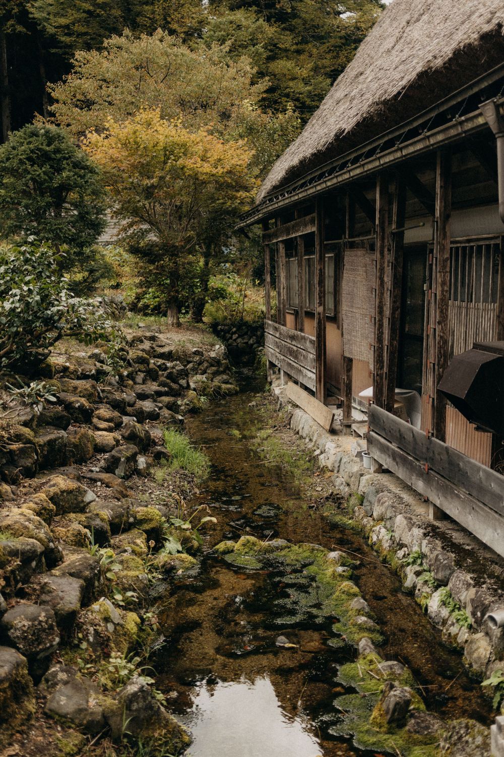 Traditional Japanese house with thatched roof alongside a peaceful garden stream lined with mossy rocks.