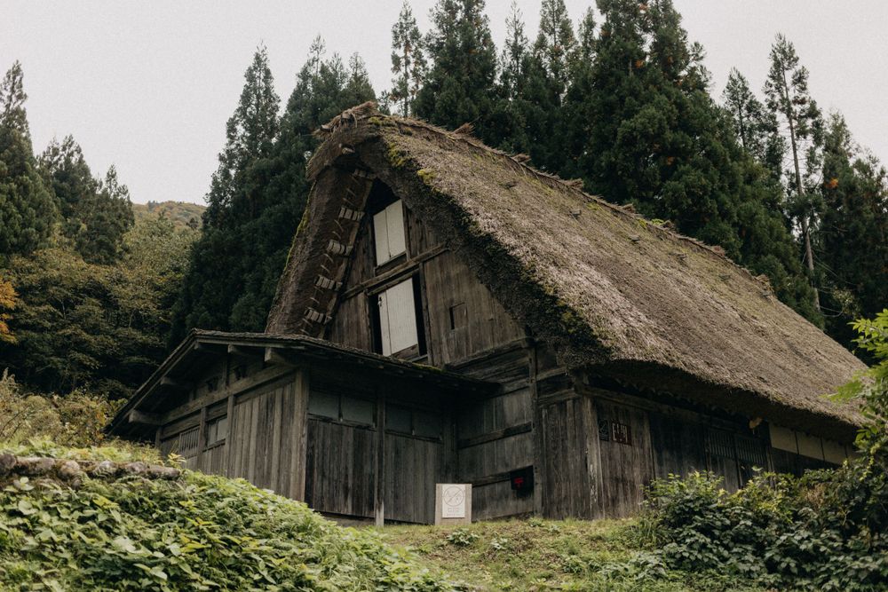 Rustic thatched-roof gassho-style house nestled in greenery on a mountainside.