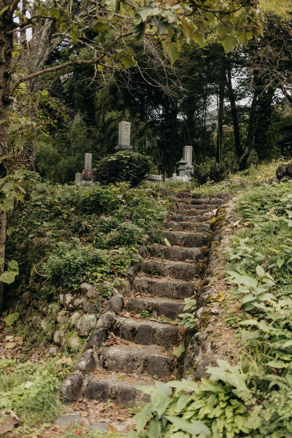 Stone steps leading up a forested hill with traditional Japanese grave markers at the top.