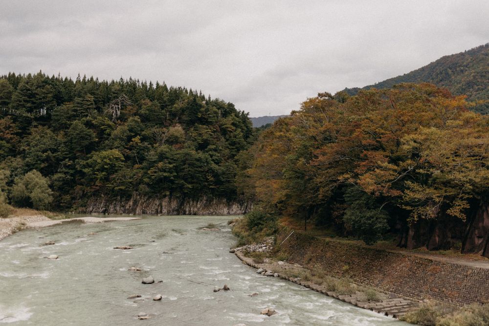 A turbulent river flows through a forested mountain landscape with autumn foliage on a cloudy day.