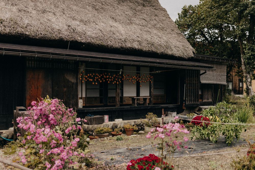 Traditional Japanese house with thatched roof and colorful flowers blooming in the garden.