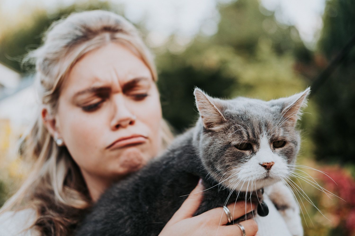 Grey and white cat looks grumpy while being held outdoors.