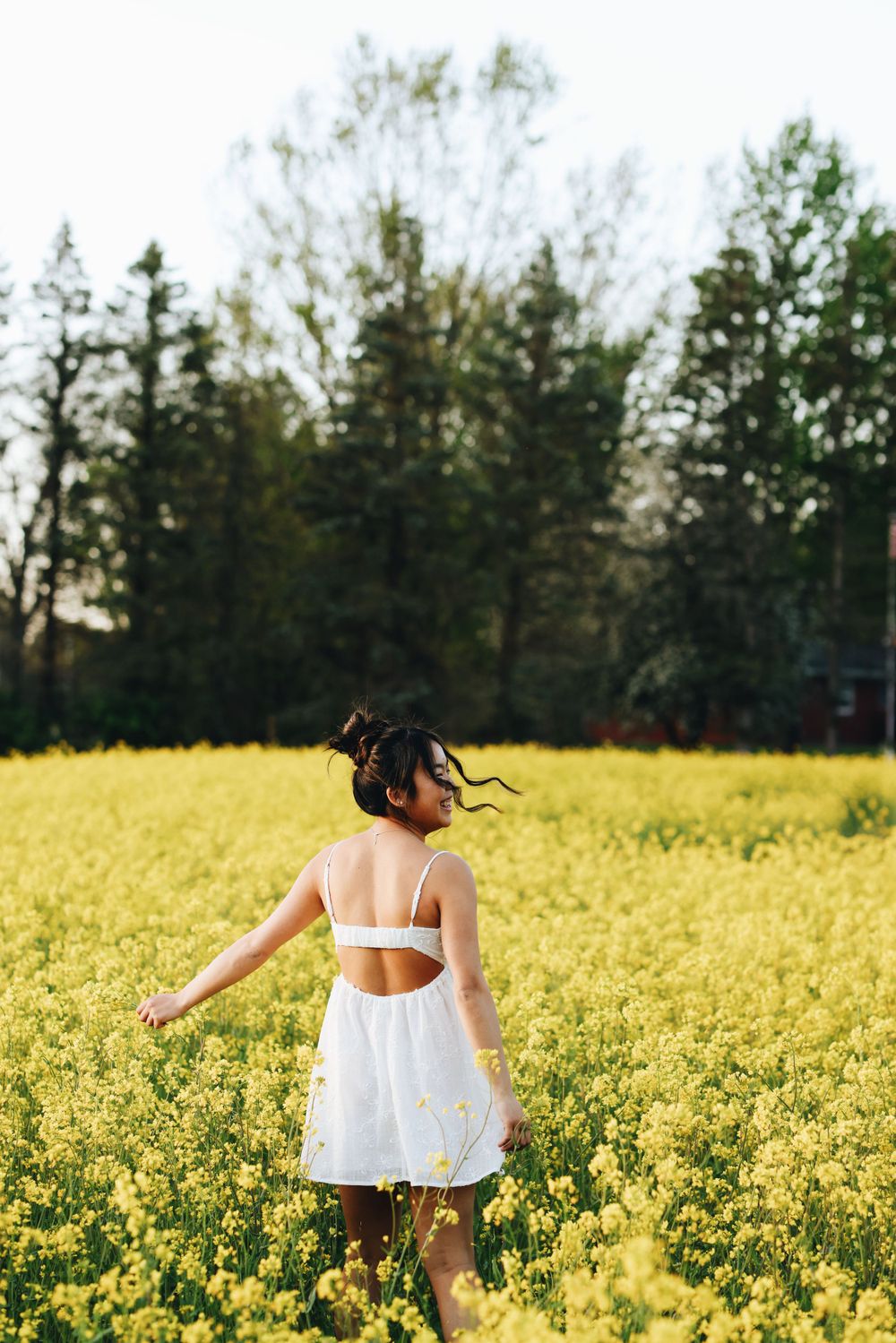 Person in white dress walks through vibrant yellow canola flower field at sunset.