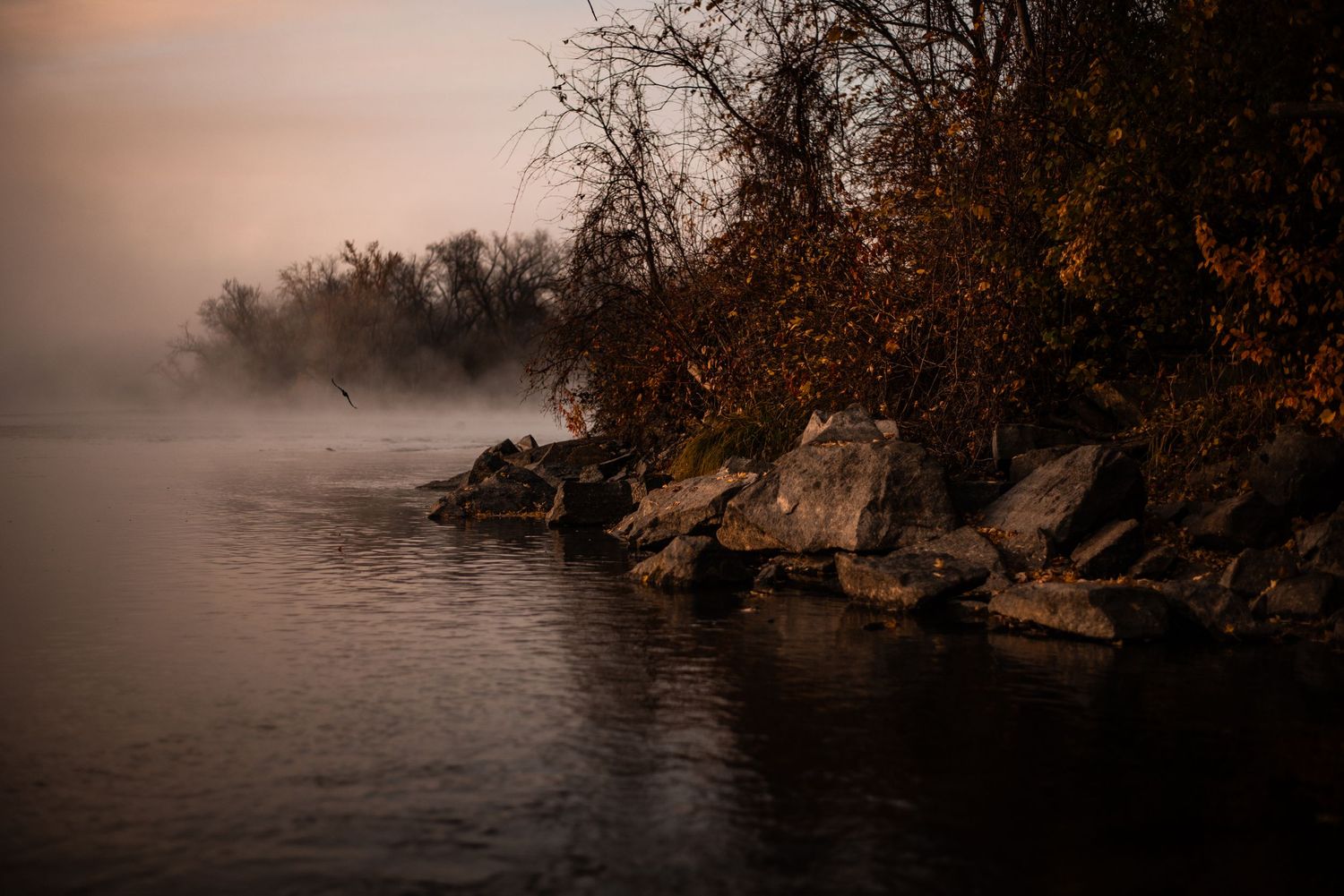 Misty river bank with rocky shoreline and autumn trees at dawn creates a moody atmospheric landscape.