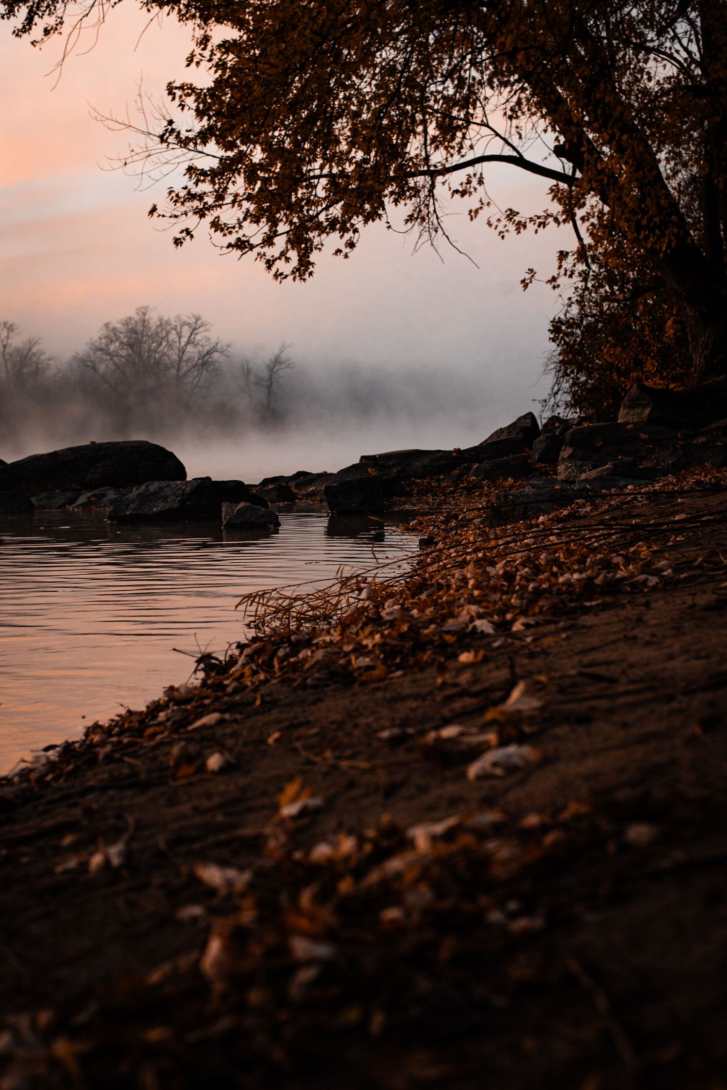 Misty sunrise over a rocky riverbank with autumn leaves and silhouetted trees casting reflections in the calm water.