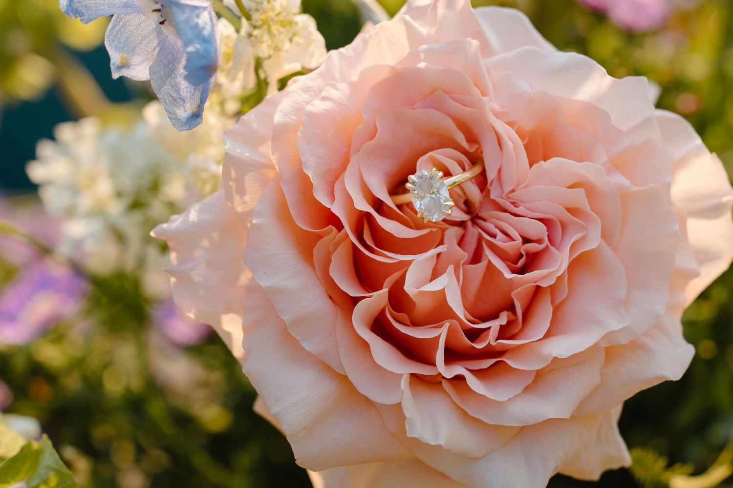 Lush floral arrangement featuring coral garden roses and mixed greenery.