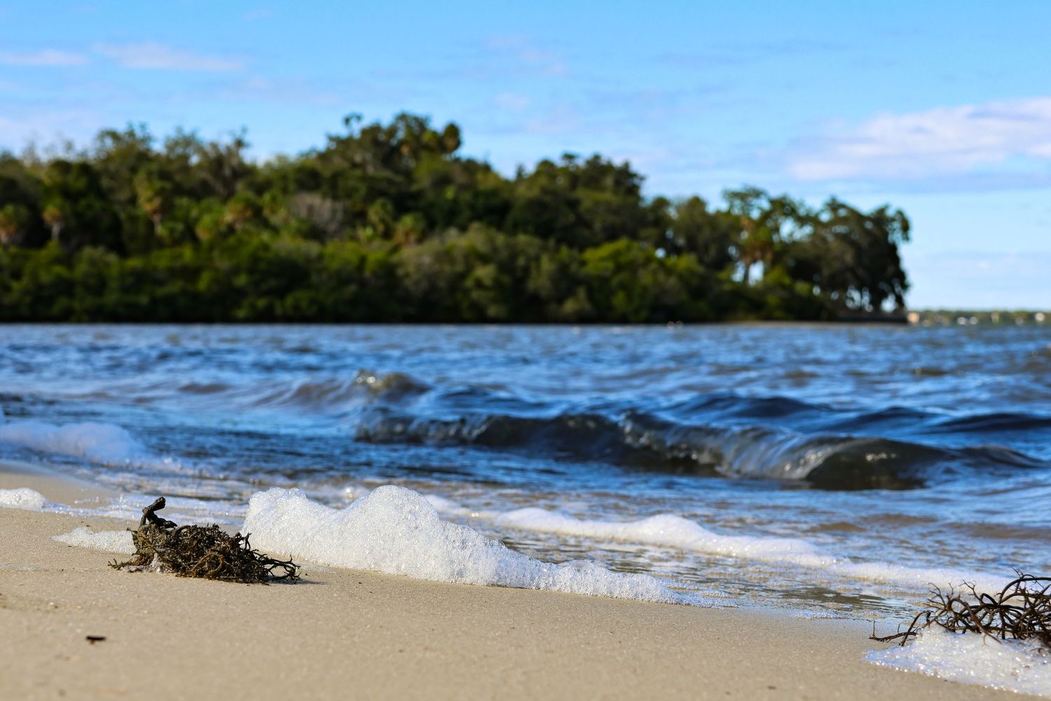 Small waves wash up on a sandy beach shoreline with green trees and blue water in the background.