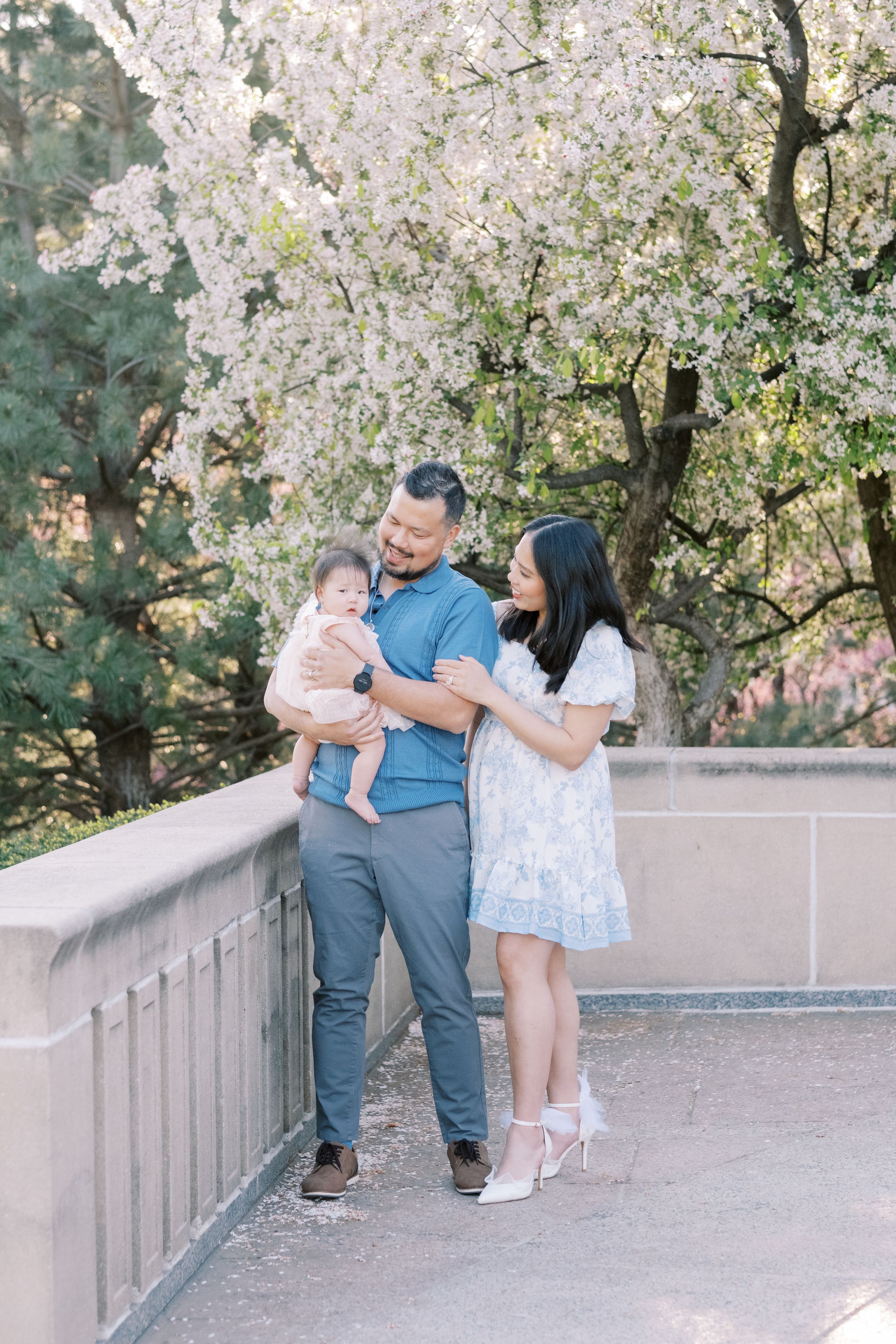 A family stands together on a stone bridge surrounded by blooming cherry blossom trees in springtime.