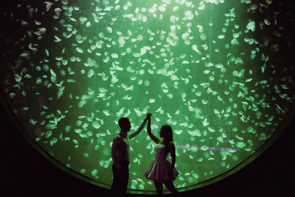 Silhouetted figures stand against a glowing green aquarium backdrop filled with illuminated jellyfish.