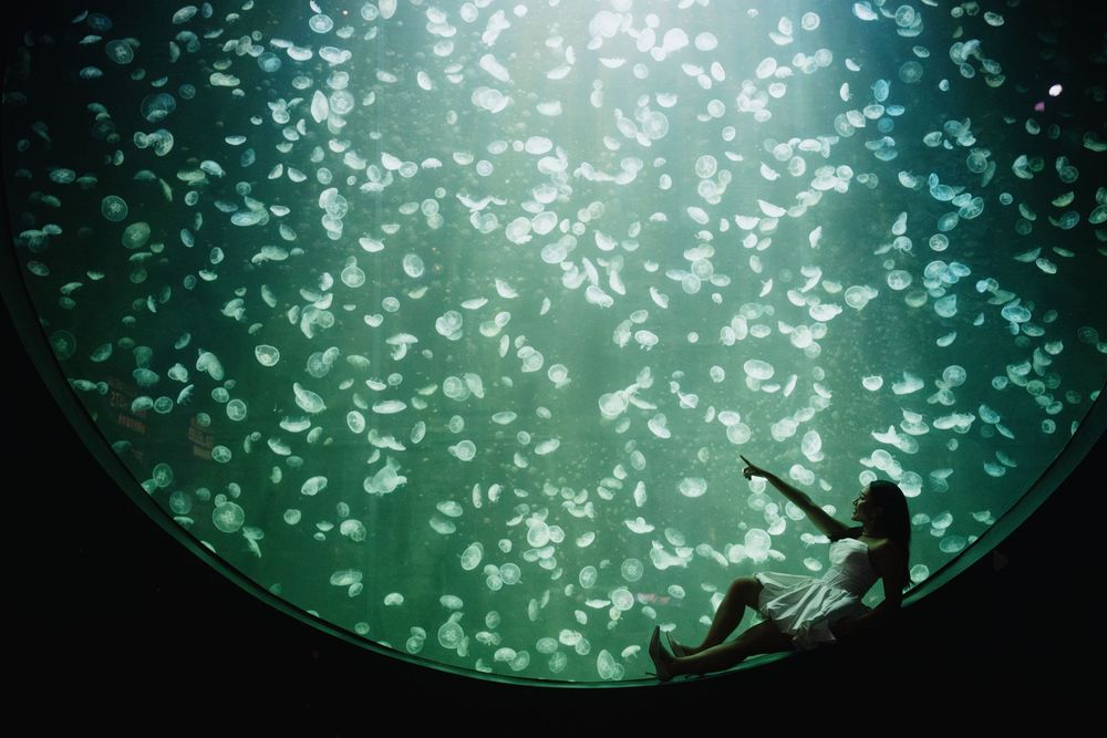 A series of circular green-tinted night vision camera views showing movement in darkness with scattered light effects.