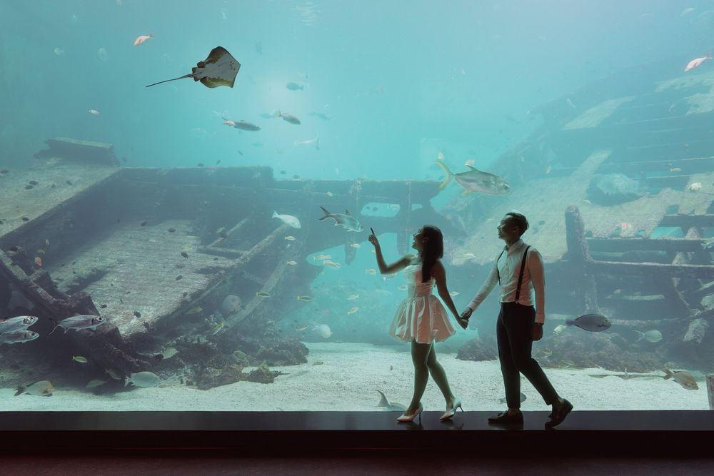 Visitors observe marine life through large glass windows at an underwater aquarium exhibit with turquoise lighting.