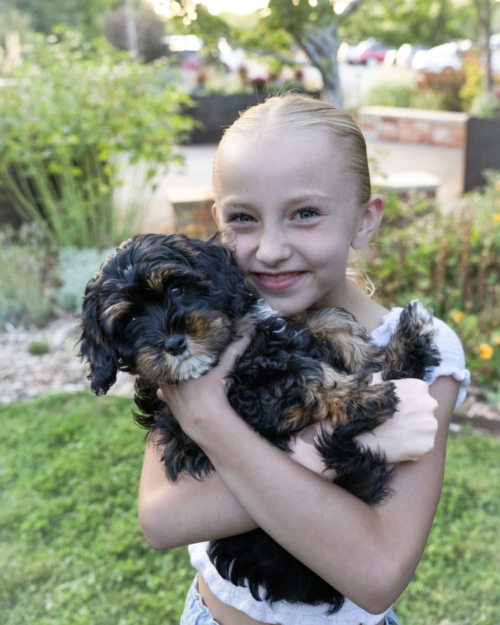 A Yorkshire Terrier puppy being cuddled and held up while outdoors in a garden setting.