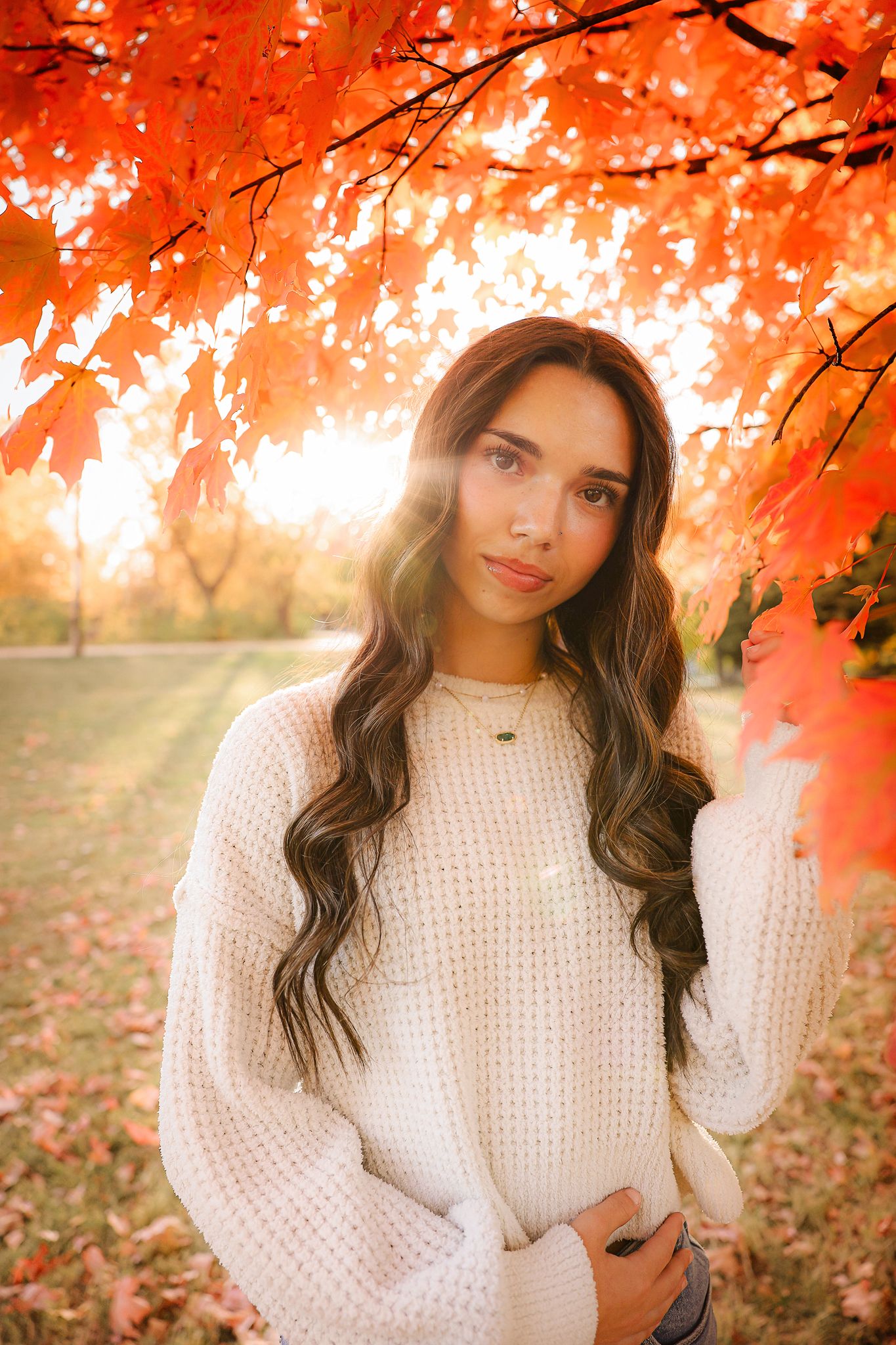 High school senior girl wearing white sweater under tree during fall golden hour in Springfield MO