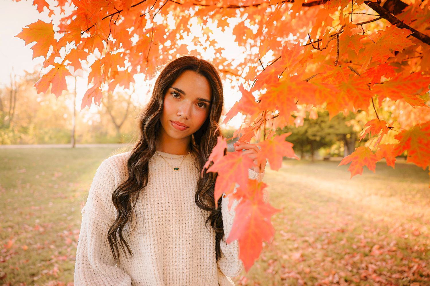 High school senior girl wearing white sweater under tree during fall golden hour in Springfield MO