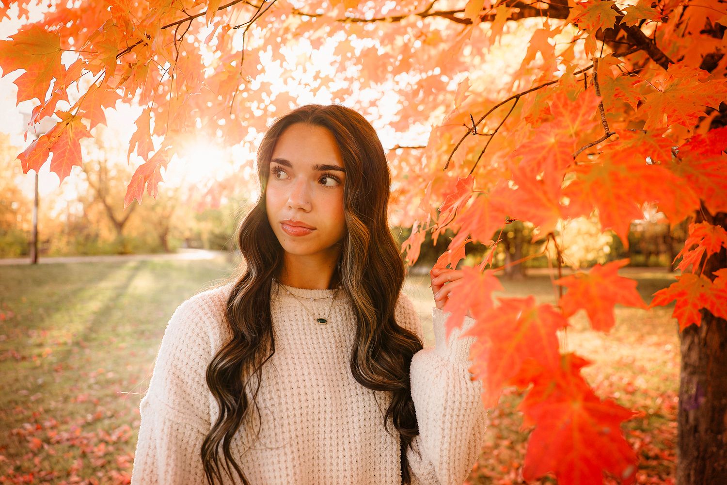 High school senior girl wearing white sweater under tree during fall golden hour in Springfield MO